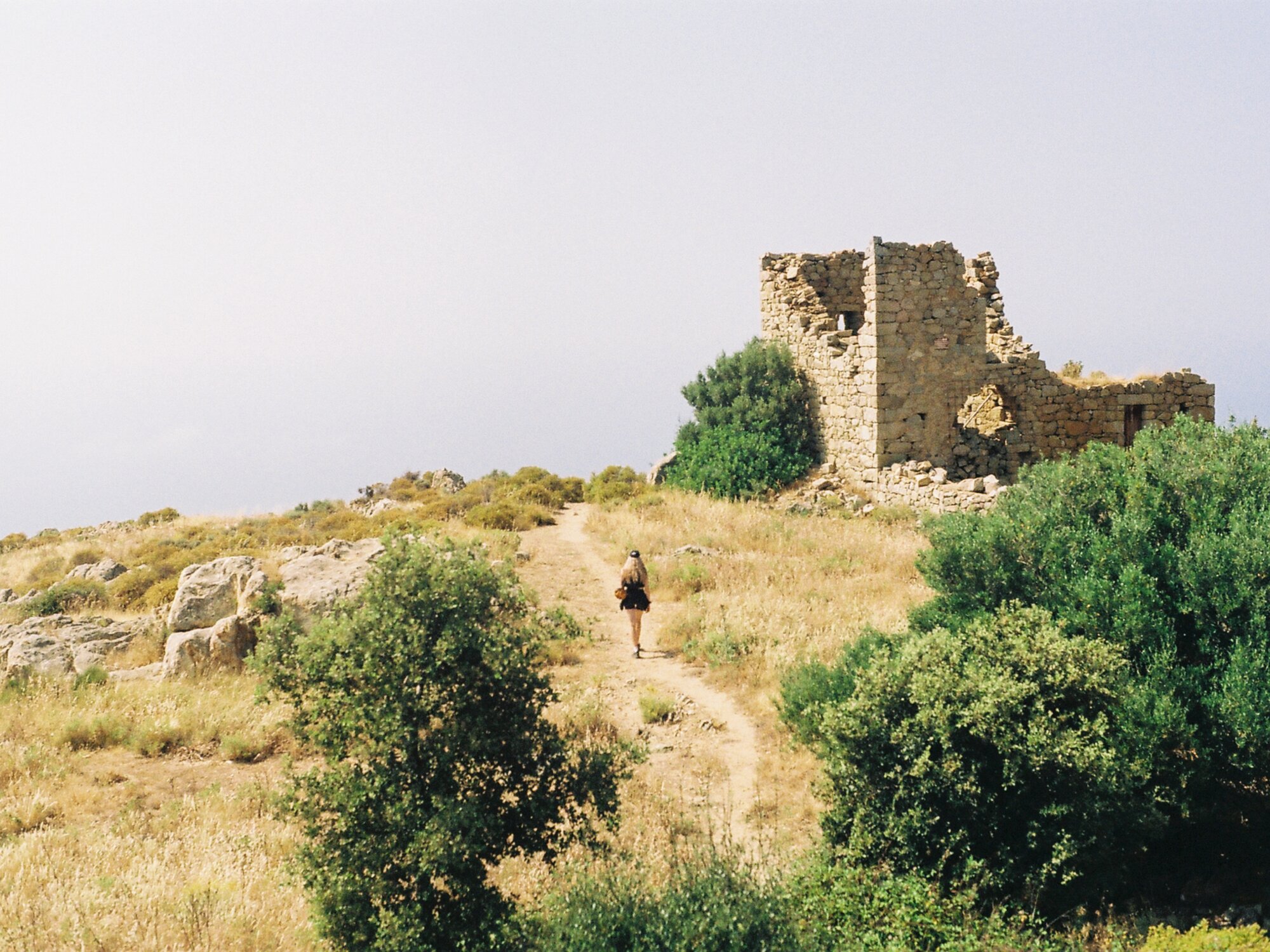 • Corse25 •